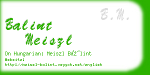 balint meiszl business card